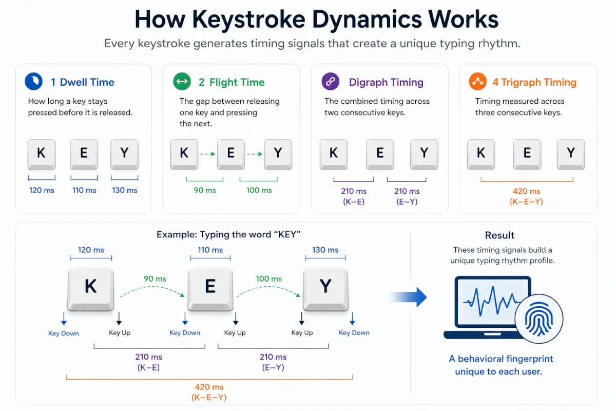 How Keystroke Dynamics Works