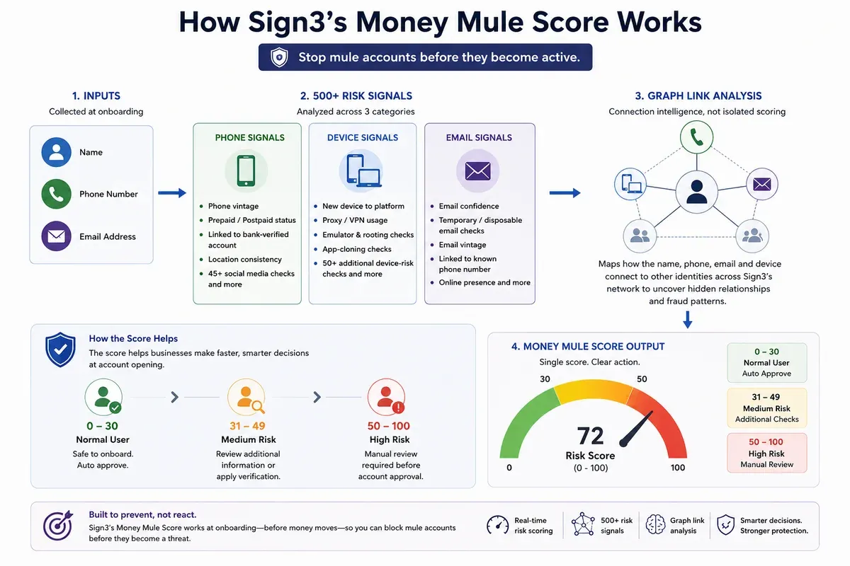mule-account-image-2.webp mule-account-image-2.webp