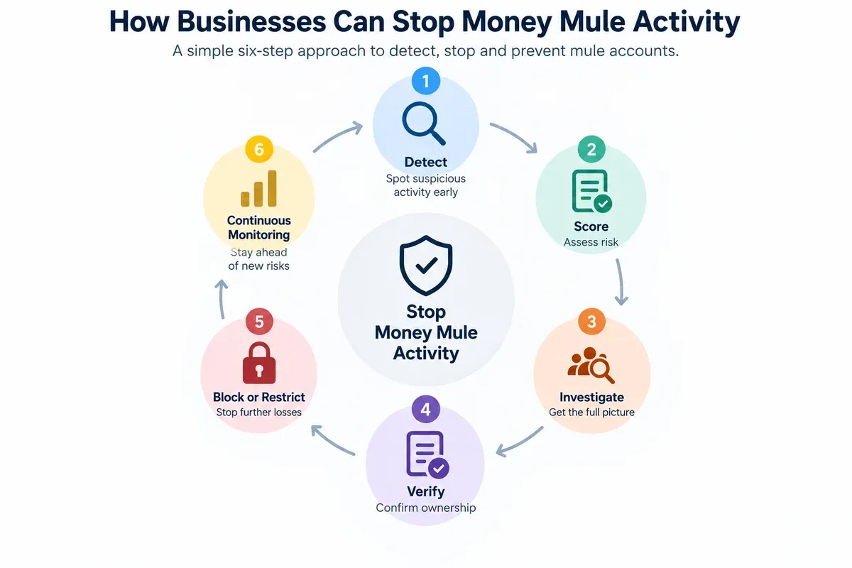 Mule Account Mule Account